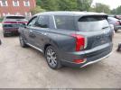 Hyundai PALISADE Sel Image 2