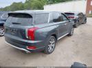 Hyundai PALISADE Sel Image 6