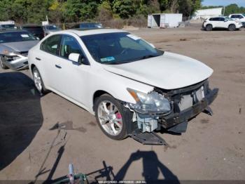  Salvage Nissan Maxima