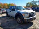 Ford F-150 Image 1