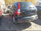 Honda CR-V Se Image 8