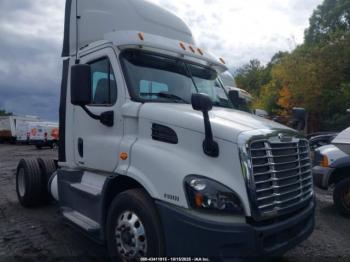  Salvage Freightliner Cascadia 113