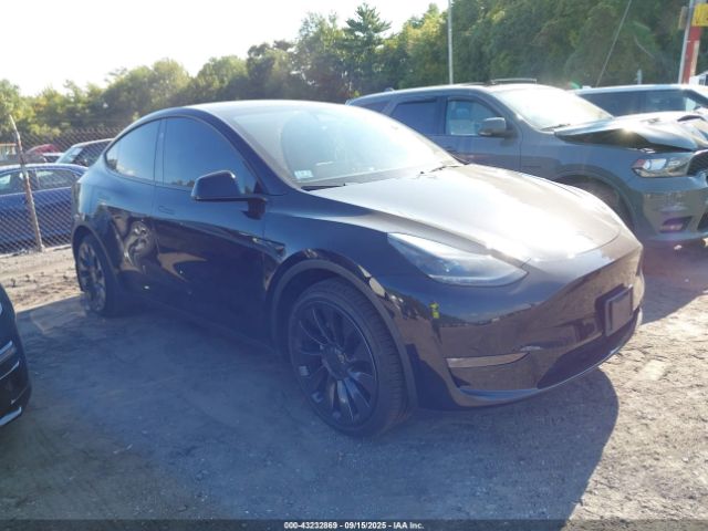 Tesla Model Y Image 1