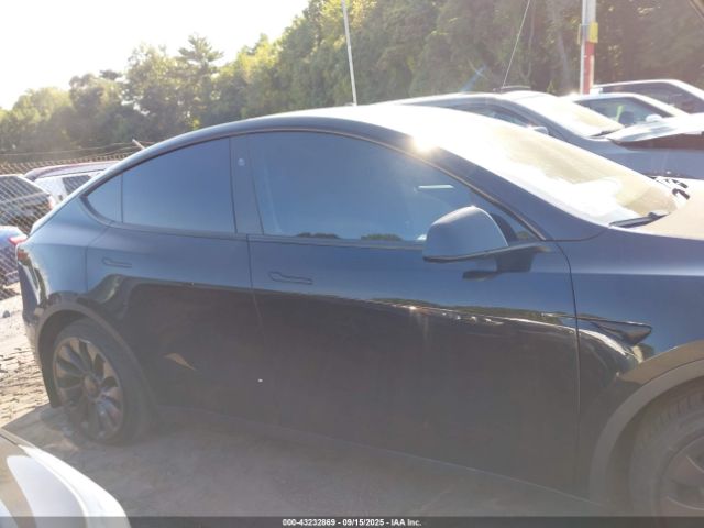 Tesla Model Y Image 12