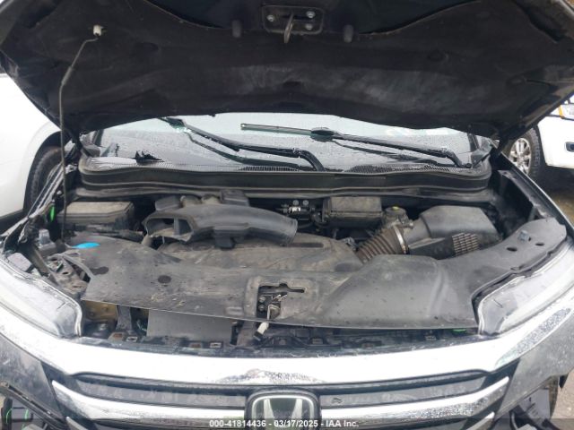 Honda Pilot Elite Image 5