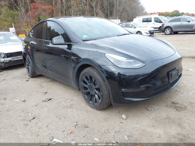 Tesla Model Y Image 1