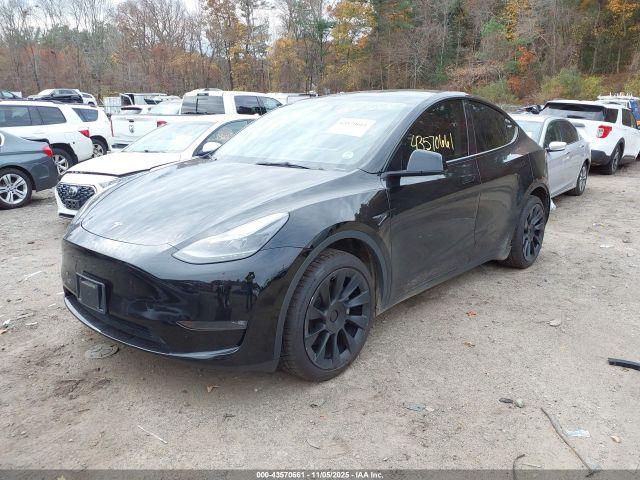 Tesla Model Y Image 3