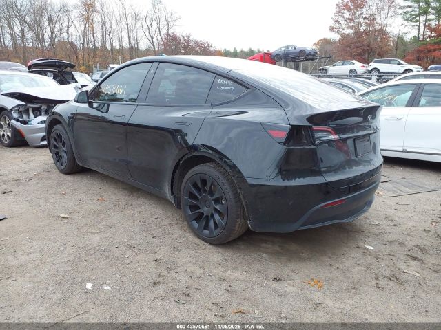 Tesla Model Y Image 4