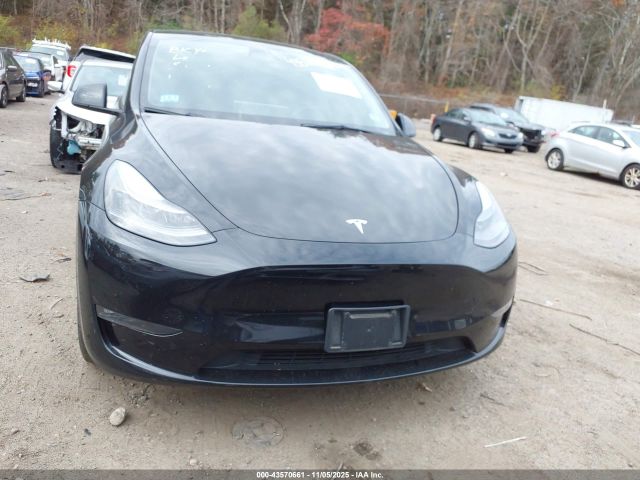 Tesla Model Y Image 10