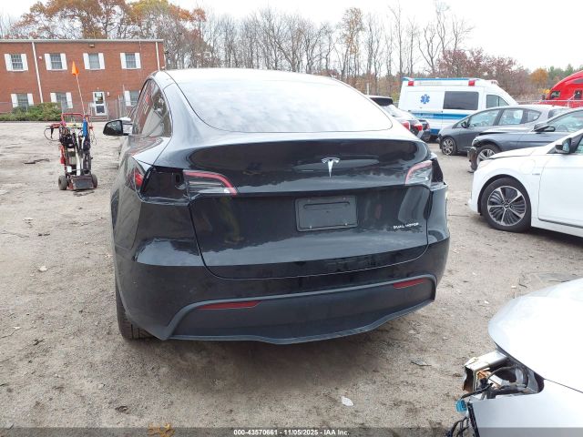 Tesla Model Y Image 16