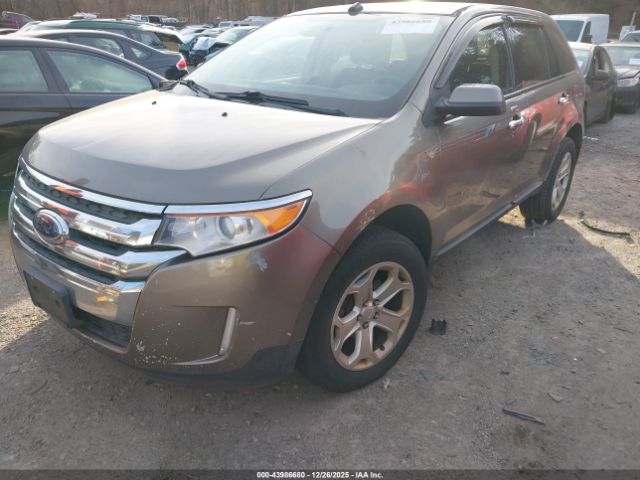 Ford Edge Sel Image 3