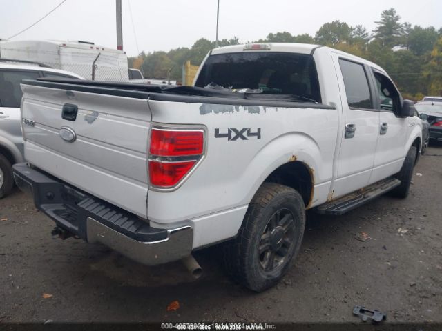 Ford F-150 Image 3