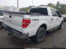 Ford F-150 Image 3