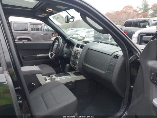 Ford Escape Xlt Image 4