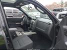 Ford Escape Xlt Image 4