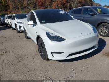  Salvage Tesla Model Y