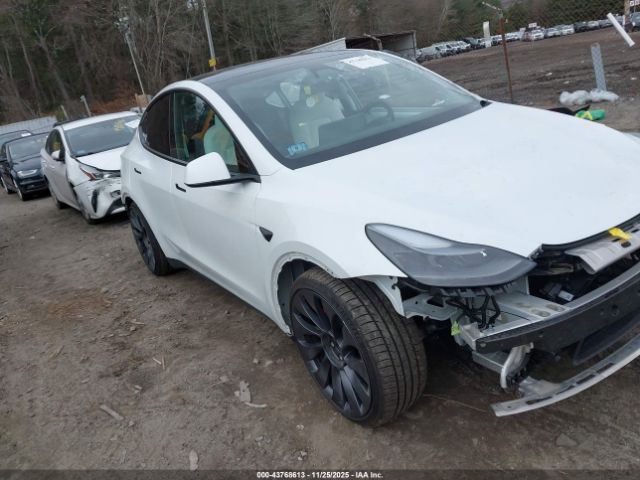 Tesla Model Y Performance Dual Motor All-wheel Drive Image 1