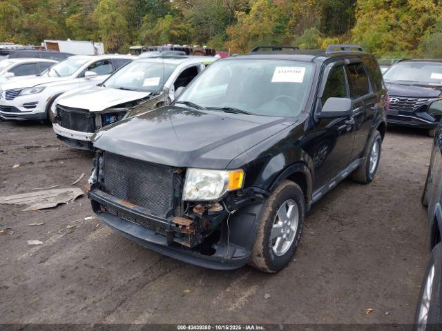 Ford Escape Xlt Image 3