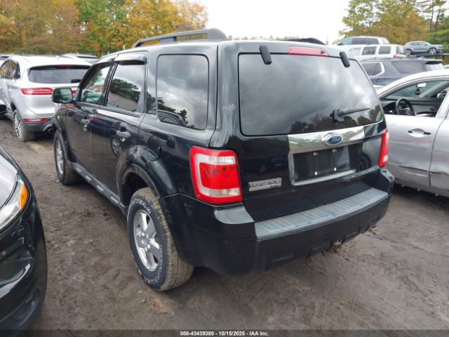 Ford Escape Xlt Image 2