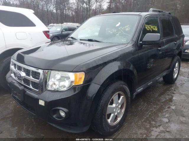 Ford Escape Xlt Image 6