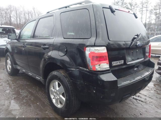 Ford Escape Xlt Image 4