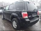 Ford Escape Xlt Image 4