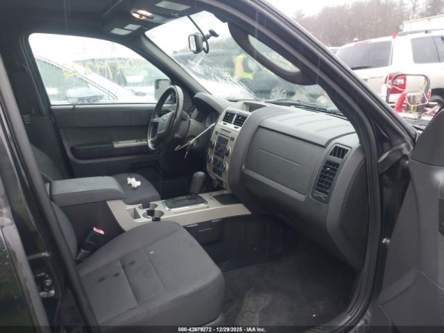 Ford Escape Xlt Image 9