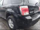 Ford Escape Xlt Image 5