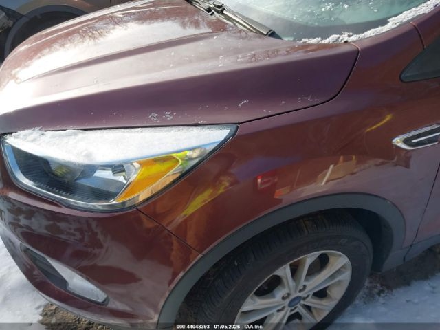 Ford Escape Se Image 2