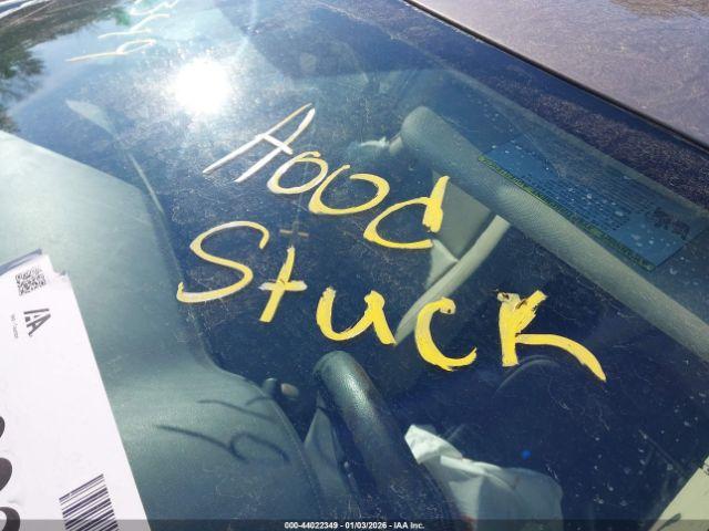 Toyota Corolla Le Eco Image 8