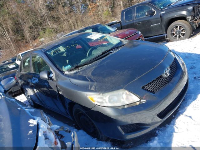 Toyota Corolla Le Image 1