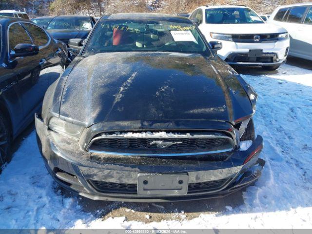 Ford Mustang V6 Premium Image 14