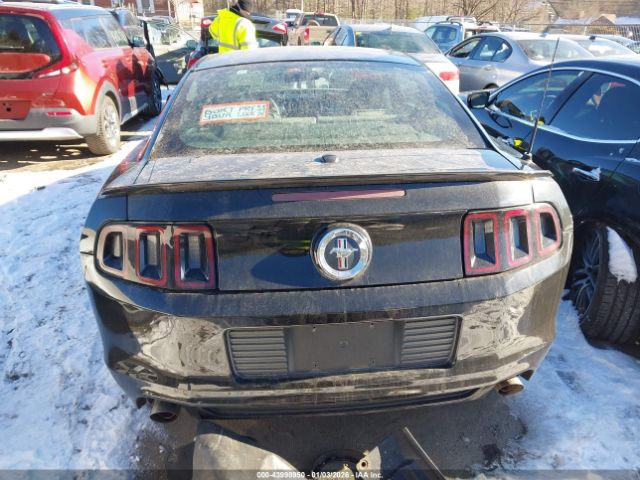 Ford Mustang V6 Premium Image 13