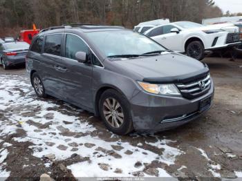  Salvage Honda Odyssey