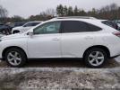 Lexus RX Image 6