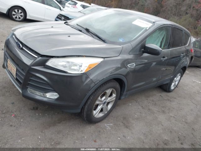 Ford Escape Se Image 10