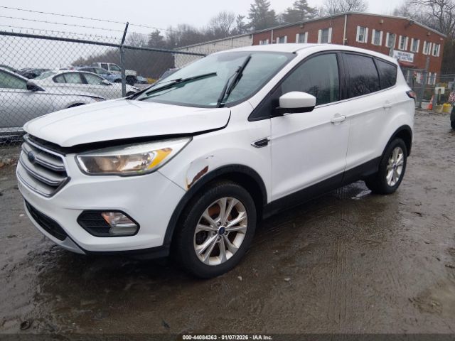 Ford Escape Se Image 6