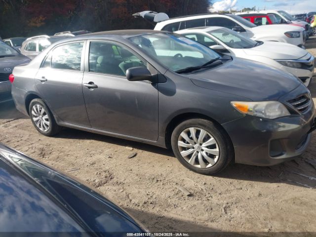 Toyota Corolla Le Image 7