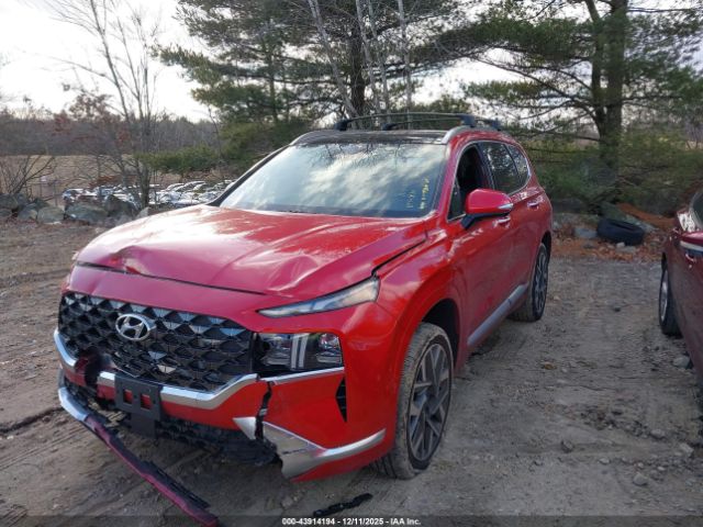 Hyundai SANTA FE Calligraphy Image 12