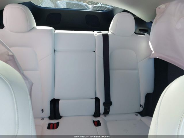 Tesla Model Y Long Range Dual Motor All-wheel Drive Image 5