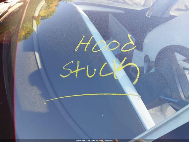 Tesla Model Y Long Range Dual Motor All-wheel Drive Image 8